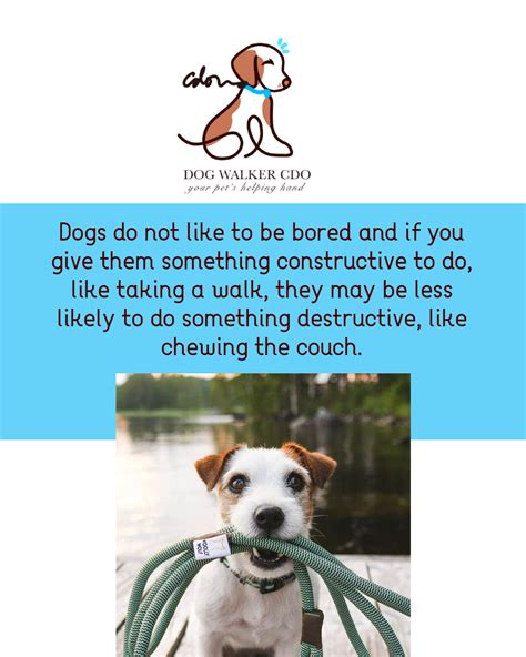 cdo walker|CDO Dog Walker's Club 2012 Inc. .